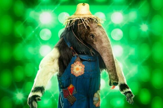 Anteater on 'The Masked Singer'